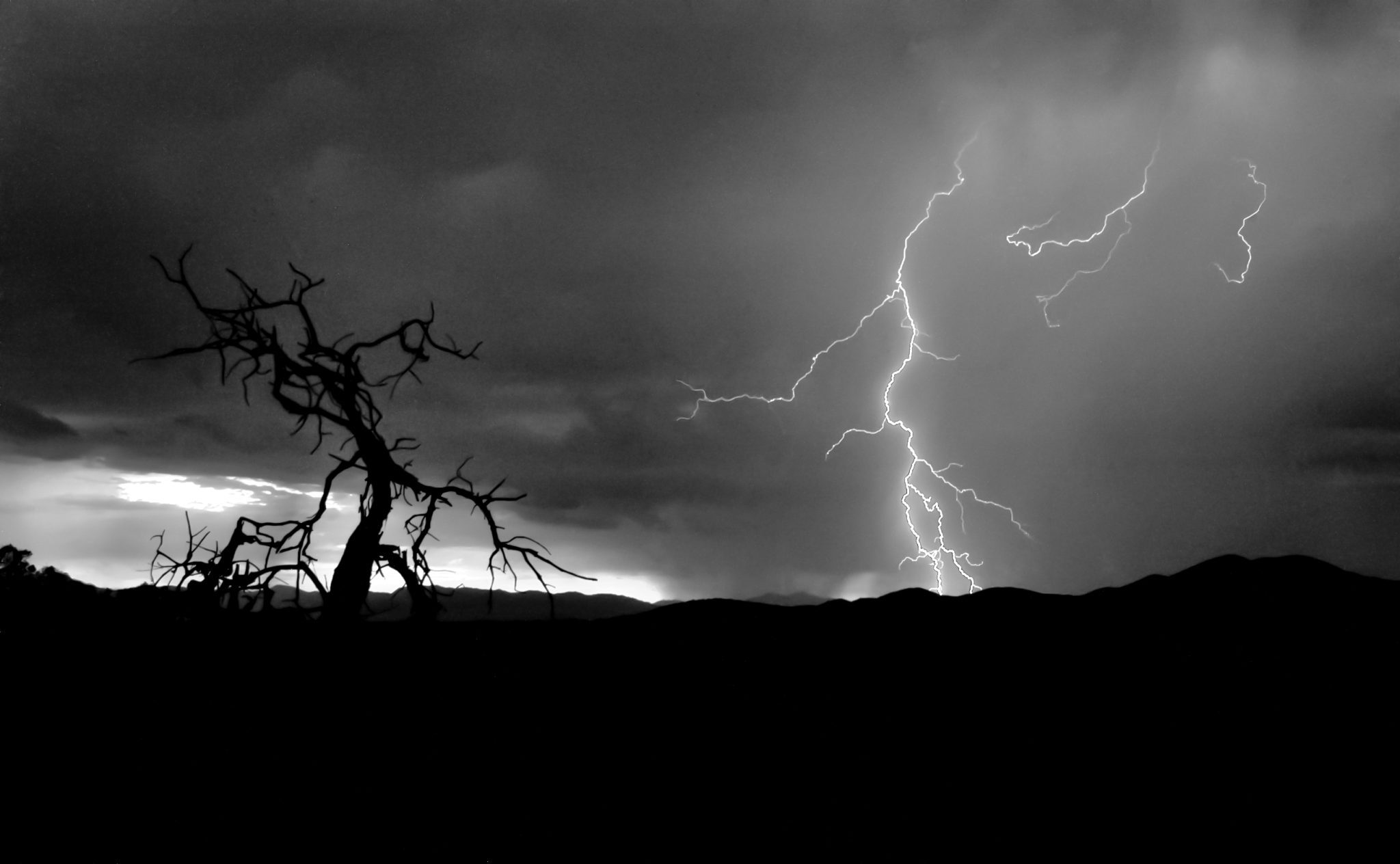 DSC_0460F-Edit-Edit DSC_0460F-Edit-Edit