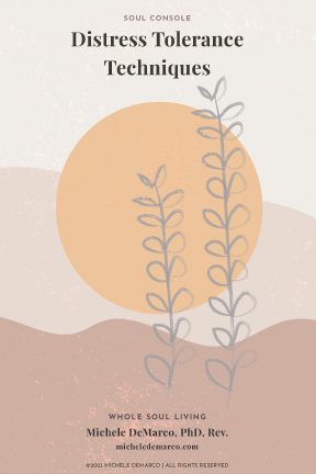 Soul-Console-Distress-Tolerance-Cards-Cover Soul-Console-Distress-Tolerance-Cards-Cover