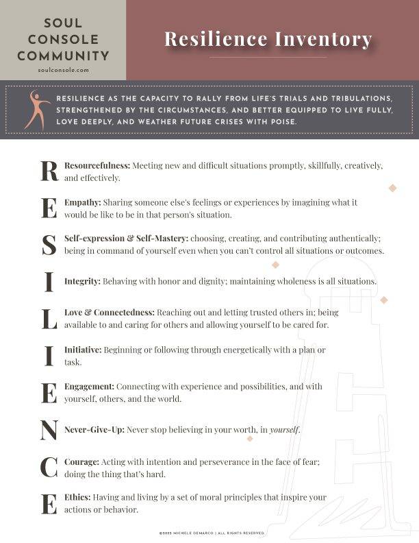 Inventories---Resilience Resilience Inventory