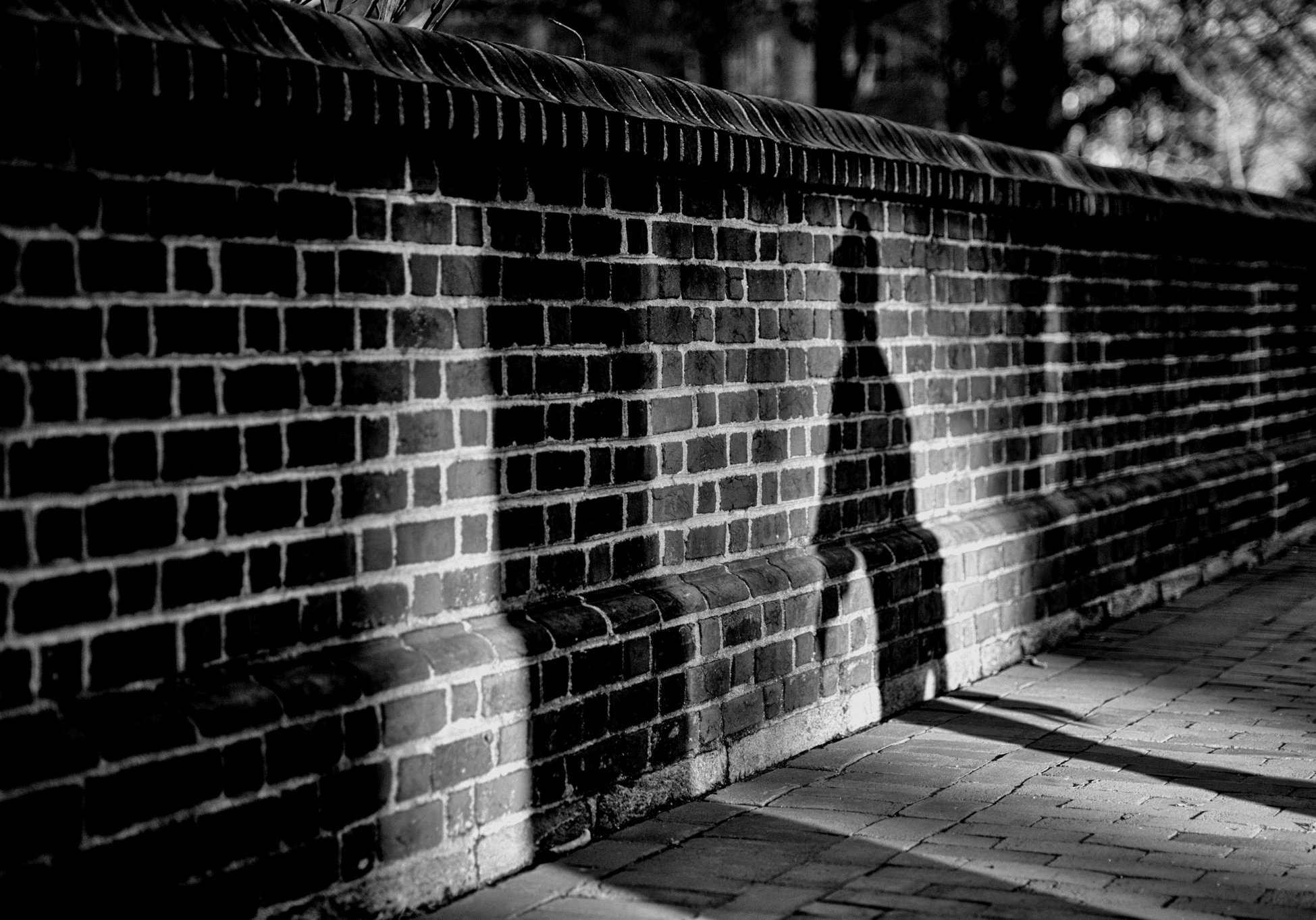 _ARS5973-Edit Black and white photo of a brick wall with a dark shadow of a person projected onto it.