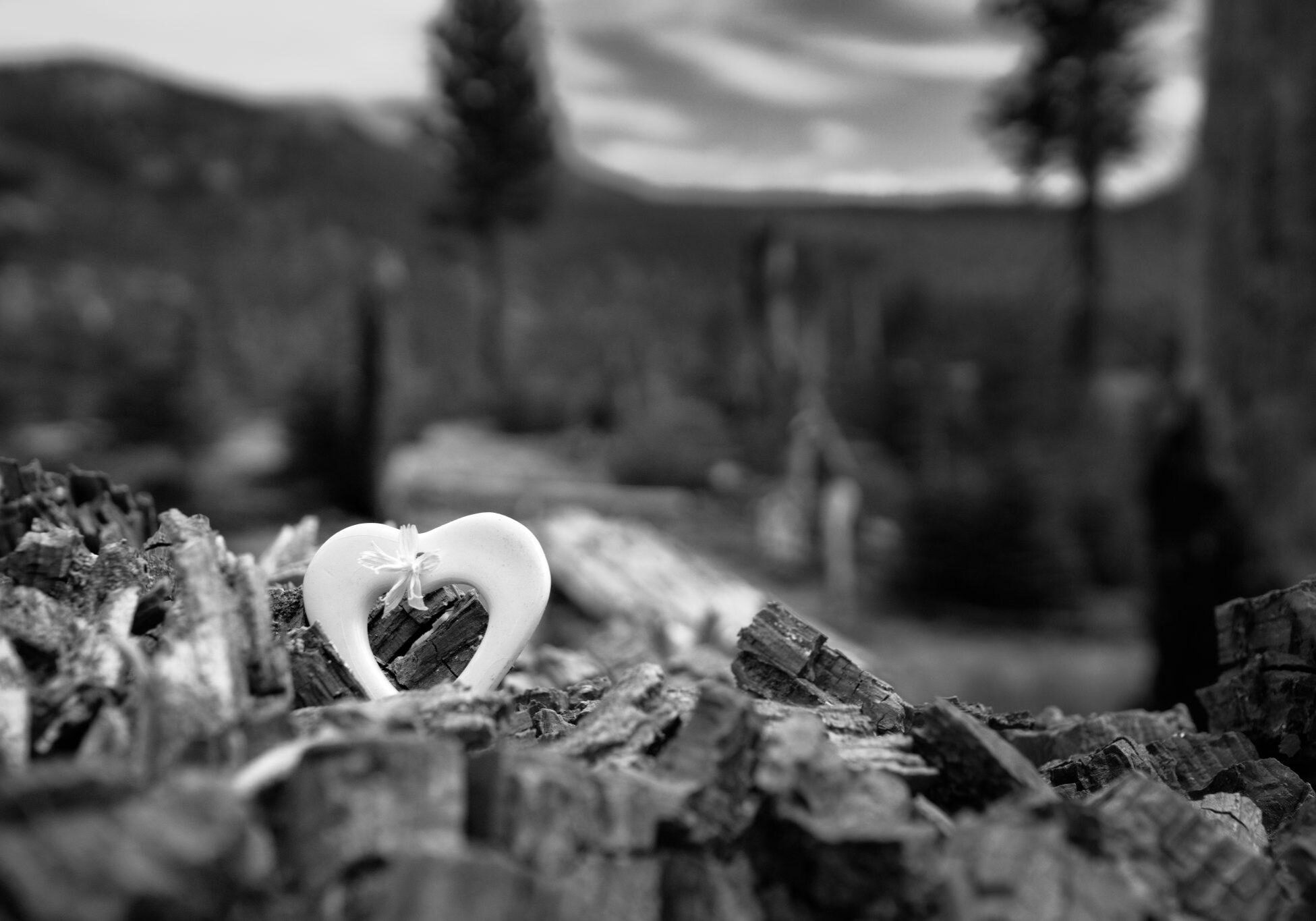 DSC00476-Edit Heart figurine on a fallen tree in the woods.