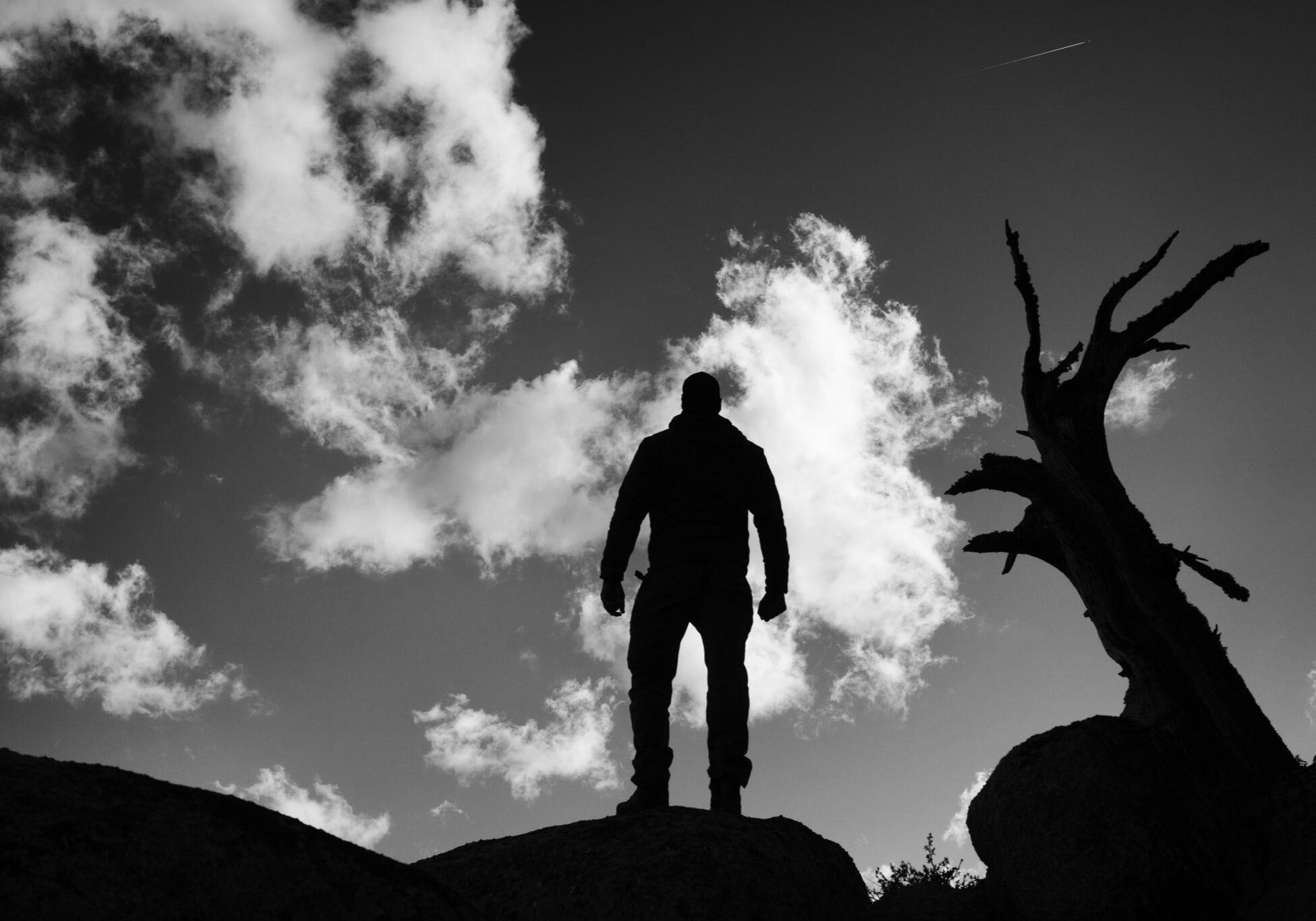 _DSC4581-Edit _DSC4581-Edit