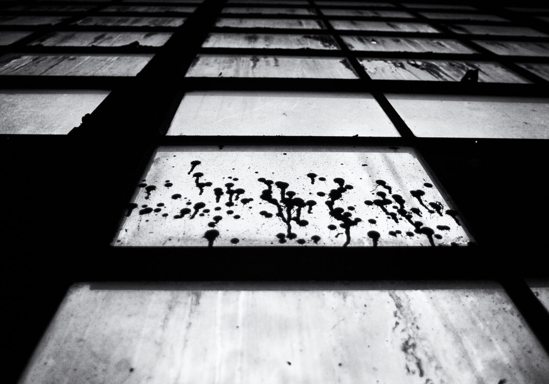 DSC_0071-Edit Black and white photo of a wall of windows, looking up, with grime dripping down.